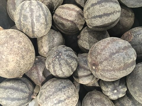 Close view of whole dried limes